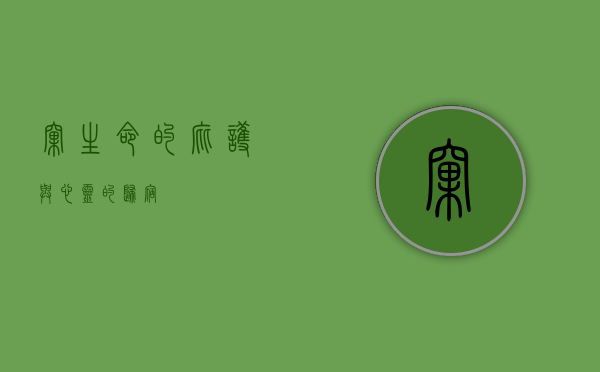 窠，生命的庇护与心灵的归宿