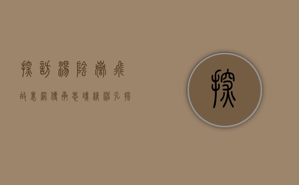 探访汤阴岳飞故里网，传承忠魂精神，弘扬爱国文化
