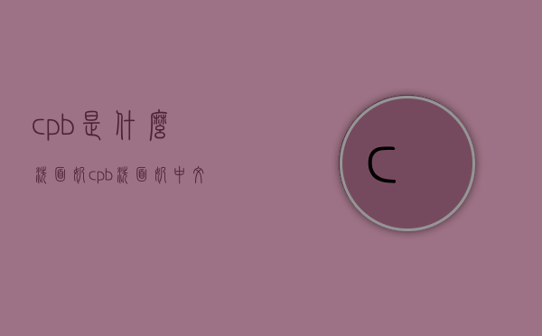 cpb是什么洗面奶（cpb洗面奶中文名称）
