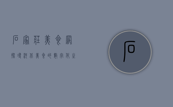 石家庄美食网，探寻河北美食的数字化之旅