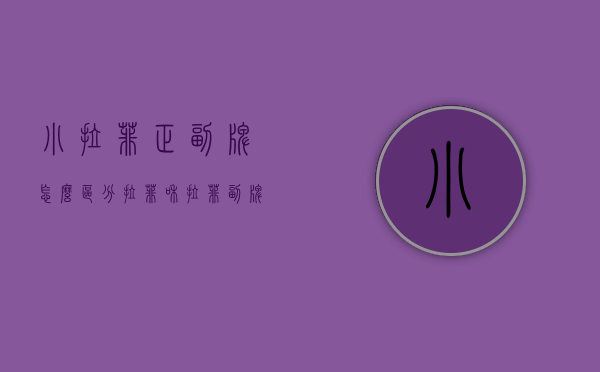 小拉菲正副牌怎么区分（拉菲和拉菲副牌的区别）