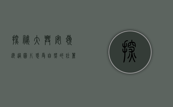 探秘大兴安岭，透过图片感受自然的壮丽与神秘
