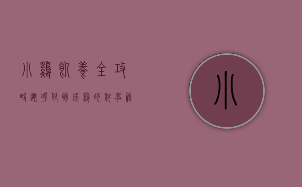 小鸡饲养全攻略，从孵化到成鸡的科学管理