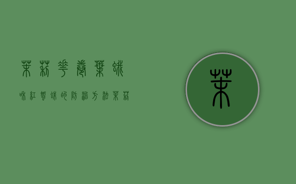 茉莉花卷叶蛾和红蜘蛛的防治方法（茉莉叶子长蜘蛛网怎么办啊怎么治好）