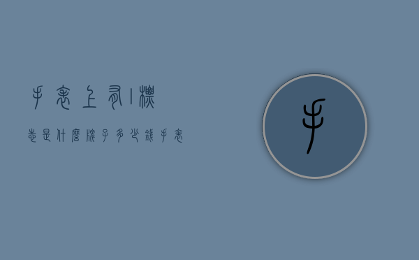 手表上有l标志是什么牌子多少钱（手表品牌l开头的）