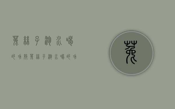 菟丝子泡水喝的功效,菟丝子泡水喝的功效和副作用（菟丝子泡水有什么功效）