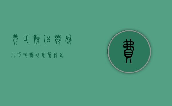 费氏情侣鹦鹉，小巧玲珑的爱情使者