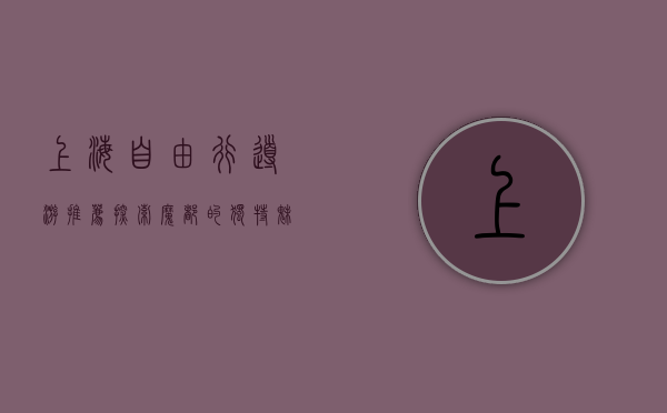 上海自由行导游推荐，探索魔都的独特魅力与实用攻略
