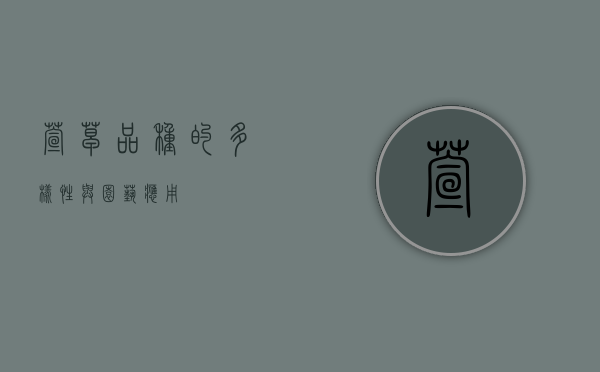 萱草品种的多样性与园艺应用