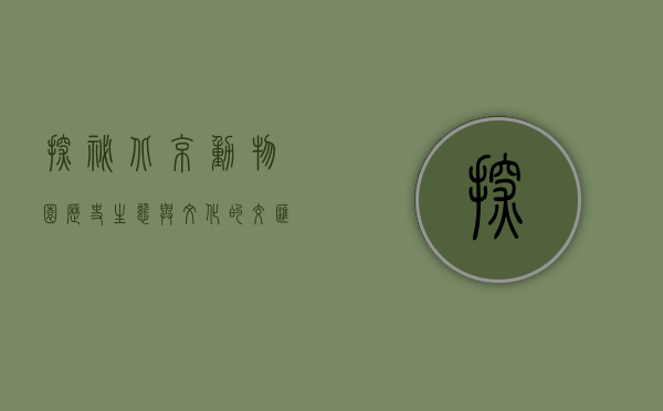 探秘北京动物园，历史、生态与文化的交汇之地