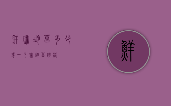 鲜珊瑚草多少钱一斤（珊瑚草价格）