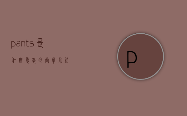 pants是什么意思的简单介绍