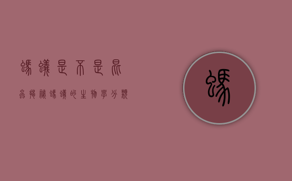 蚂蚁是不是昆虫？揭秘蚂蚁的生物学分类与特征