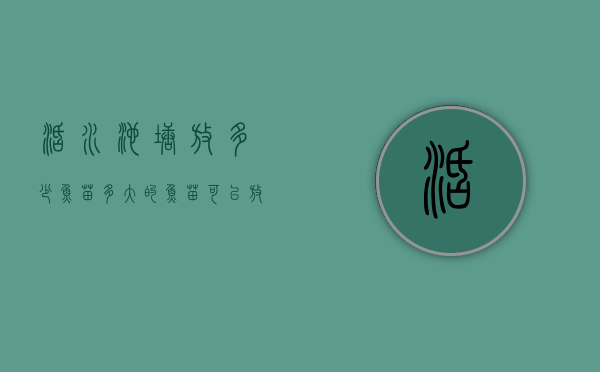 活水池塘放多少鱼苗（多大的鱼苗可以放池塘）