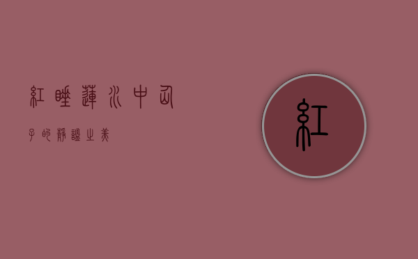 红睡莲，水中仙子的静谧之美