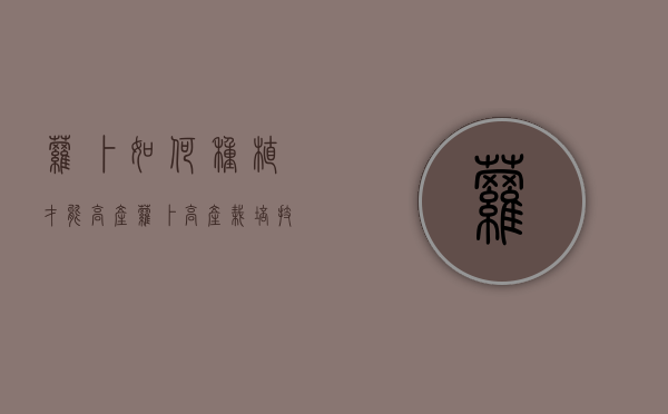萝卜如何种植才能高产？萝卜高产栽培技术！（萝卜怎样种植才能高产）