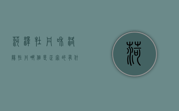菏泽牡丹和洛阳牡丹哪个是正宗的 有什么区别（菏泽牡丹和洛阳牡丹对比）
