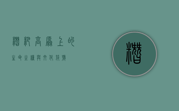 糌粑，高原上的生命之粮与文化符号