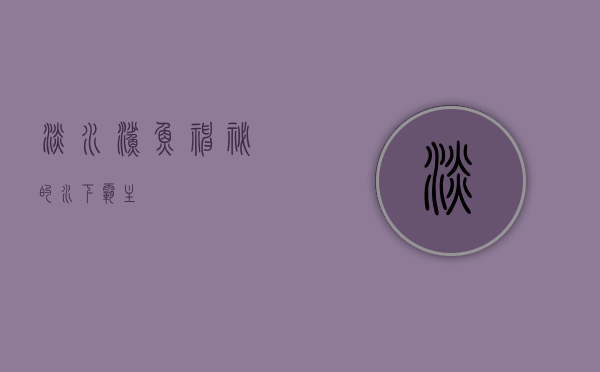 淡水鲨鱼，神秘的水下霸主