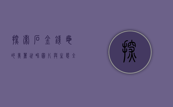 探索石金钱龟的美丽世界，图片与生态全解析