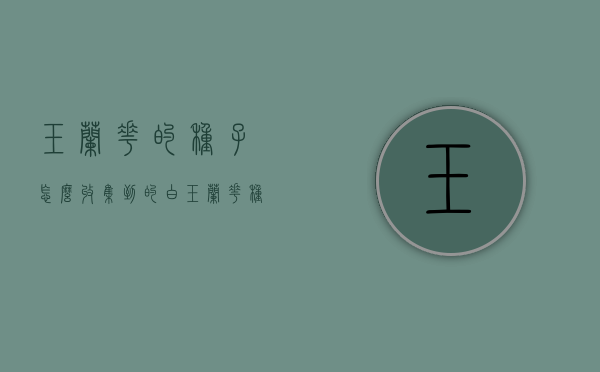 玉兰花的种子怎么收集到的（白玉兰花种子怎么种）