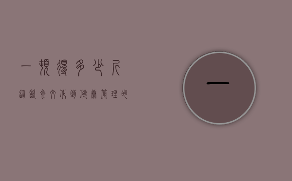 一顿得多少斤，从饮食文化到健康管理的深度探讨