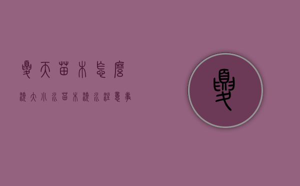 夏天苗木怎么浇大小水（苗木浇水注意事项）