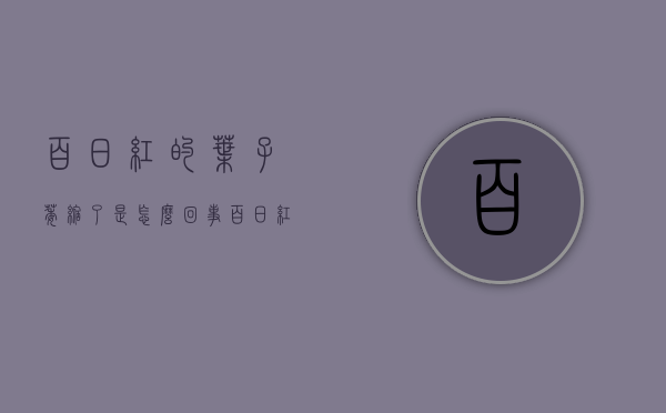 百日红的叶子萎缩了是怎么回事（百日红的叶子萎缩了是怎么回事啊）