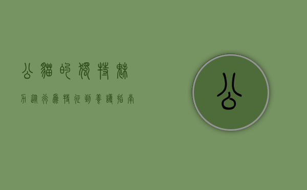公猫的独特魅力，从行为特征到养护指南
