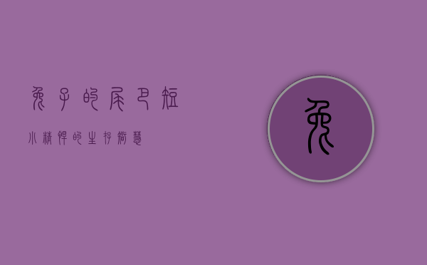 兔子的尾巴，短小精悍的生存智慧