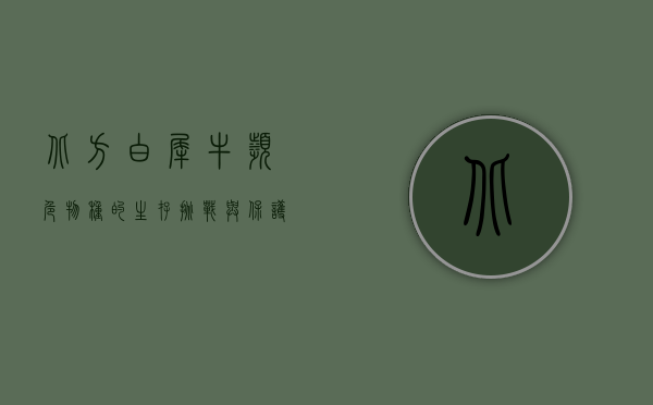 北方白犀牛，濒危物种的生存挑战与保护希望