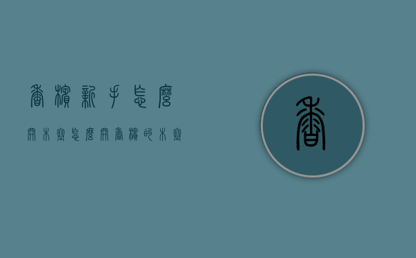 香槟新手怎么开木塞（怎么开香槟的木塞）
