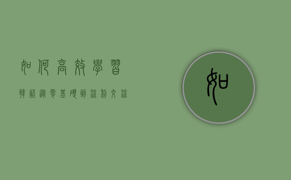 如何高效学习韩语，从零基础到流利交流的全面指南