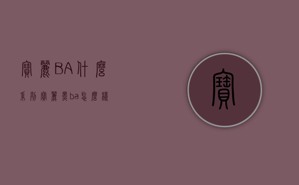 宝丽BA什么系列（宝丽黑ba怎么样）