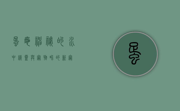 蛋龟，神秘的水中精灵与宠物界的新宠