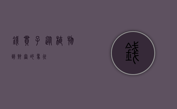 钱串子，从植物到财富的象征