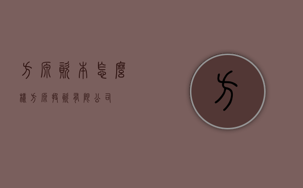方源资本怎么样（方源投资有限公司）