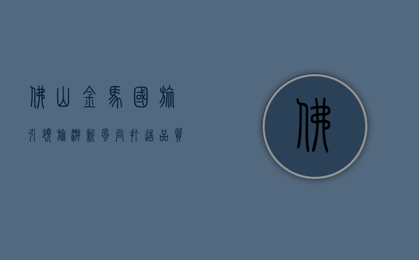 佛山金马国旅，引领旅游新风尚，打造品质出行体验