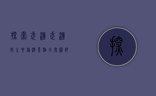 探索武汉，武汉市主要旅游景点分布图详解
