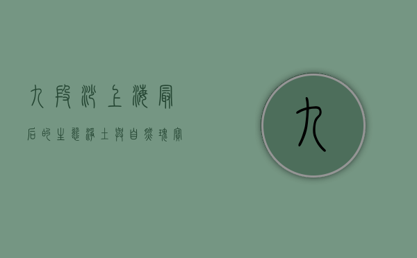 九段沙，上海最后的生态净土与自然瑰宝