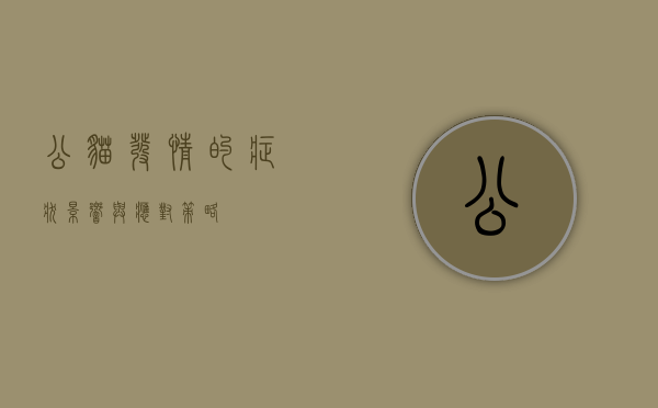公猫发情的症状、影响与应对策略