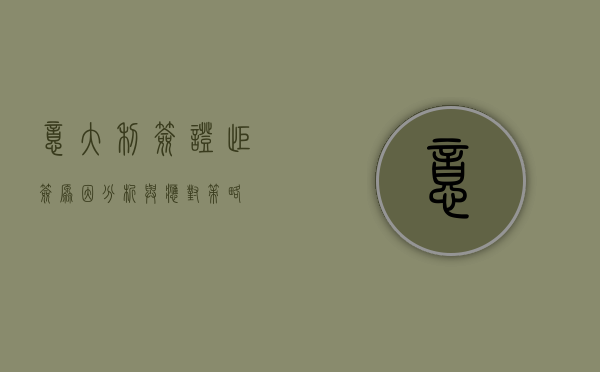 意大利签证拒签，原因分析与应对策略