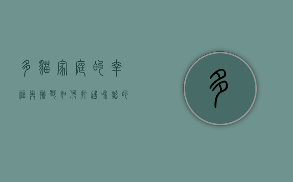 多猫家庭的幸福与挑战，如何打造和谐的猫咪乐园