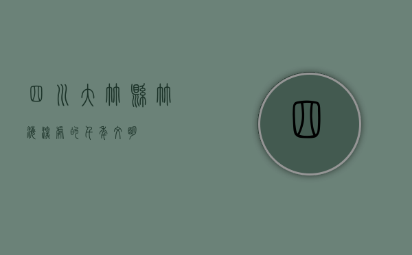 四川大竹县，竹海深处的千年文明