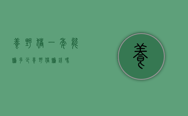 养野猪一年能赚多少（养野猪赚钱吗）
