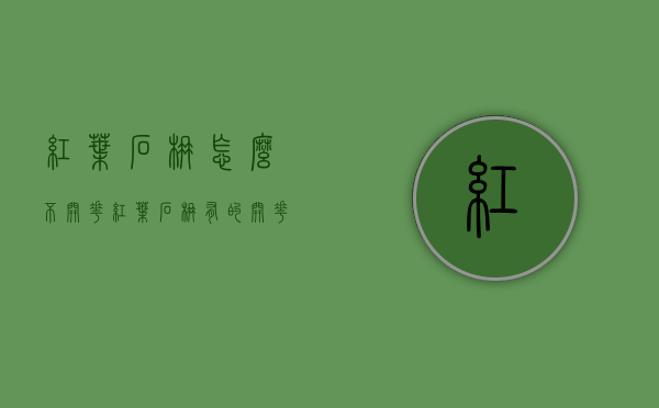 红叶石楠怎么不开花（红叶石楠有的开花有的不开花）