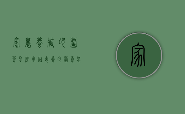 家里养殖的芦荟怎么用（家里养的芦荟怎么用好）