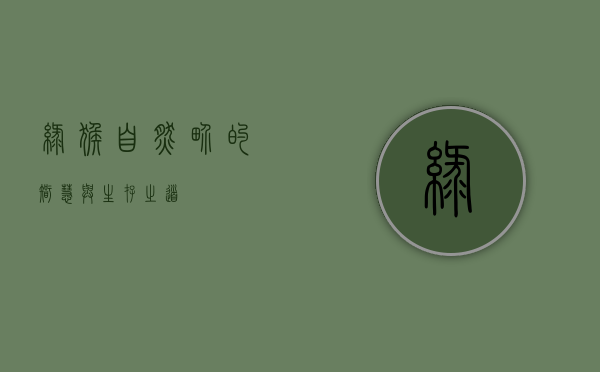 绿猴，自然界的智慧与生存之道