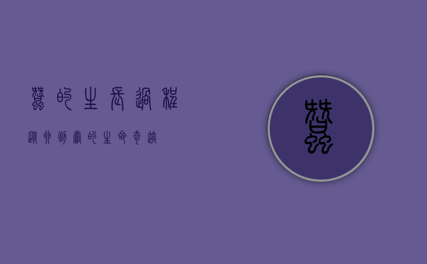 蚕的生长过程，从卵到茧的生命奇迹