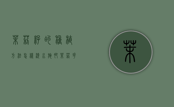 茉莉籽的种植方法，怎样浇水施肥（茉莉花籽的功效与作用）